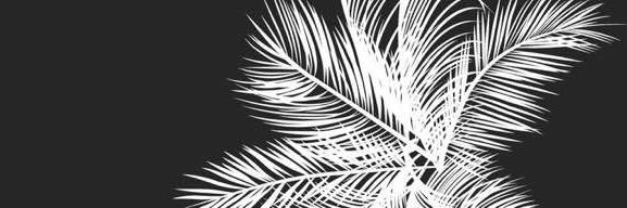 AshrafNorrahmat's profile banner image