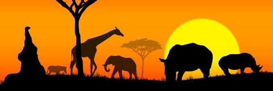 AfriDocs_'s profile banner image