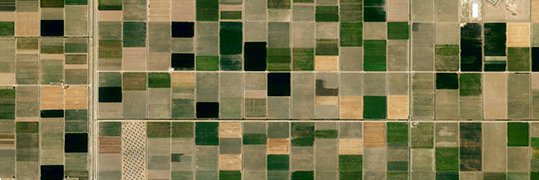 David Pérez Hormigo banner