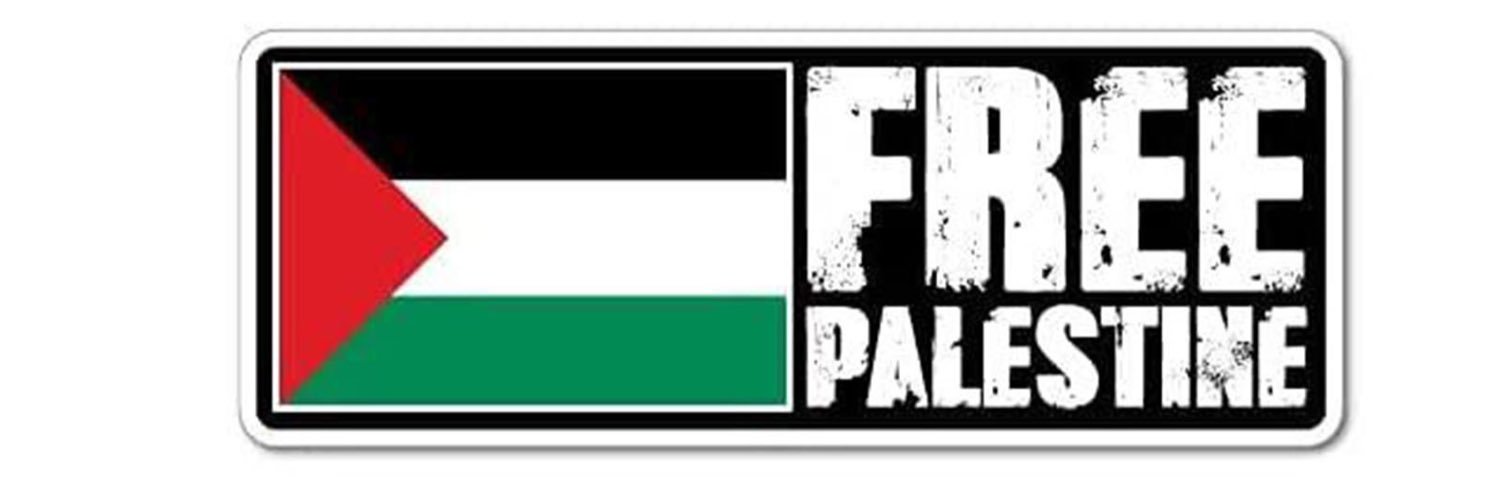 Nour Odeh 🇵🇸🍉 #FreePalestine's banner