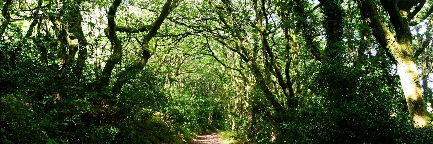 Dr Georgina Key banner