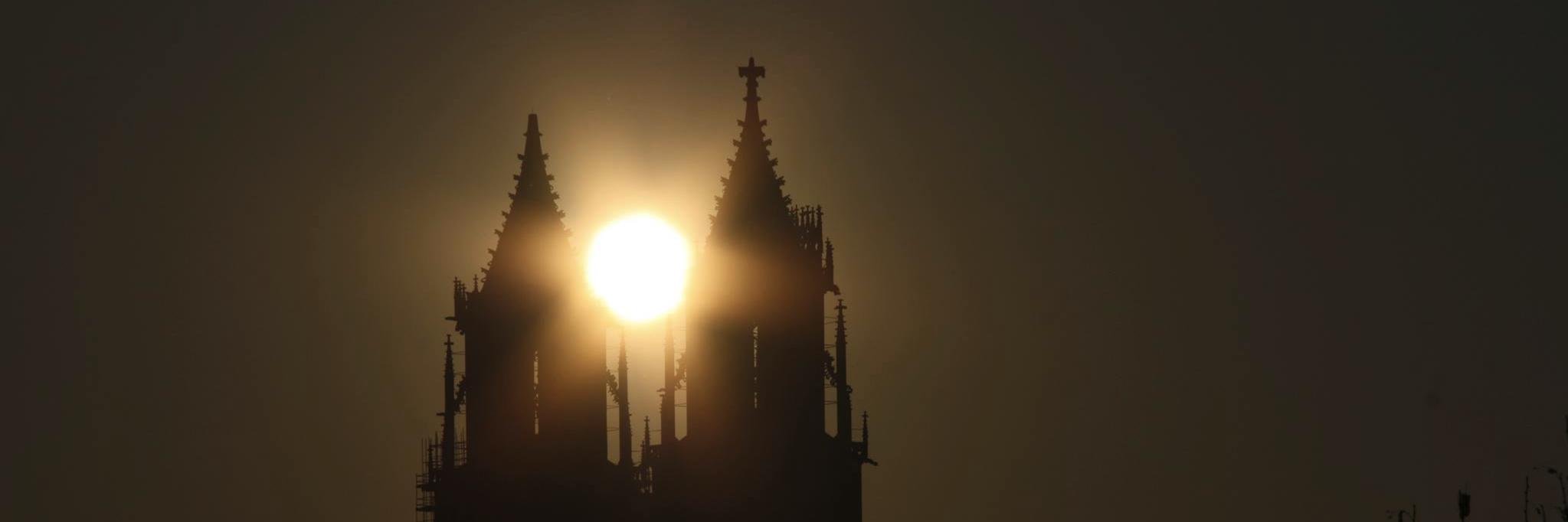 Olli D. aus M. banner