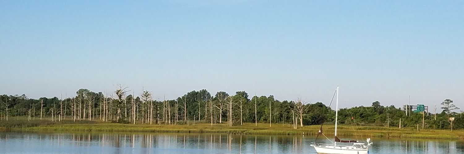 robthebob's profile banner image