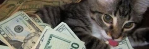 solmooner's profile banner image