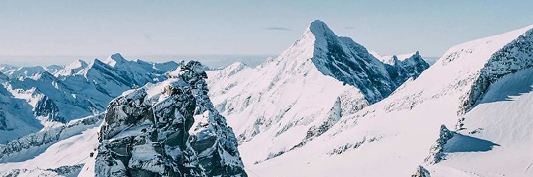 Hugo MontBlanc banner