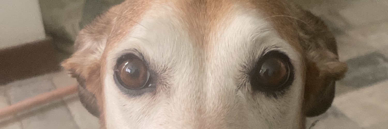passoswav's profile banner image