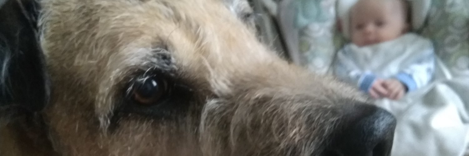 Juckaroo's profile banner image
