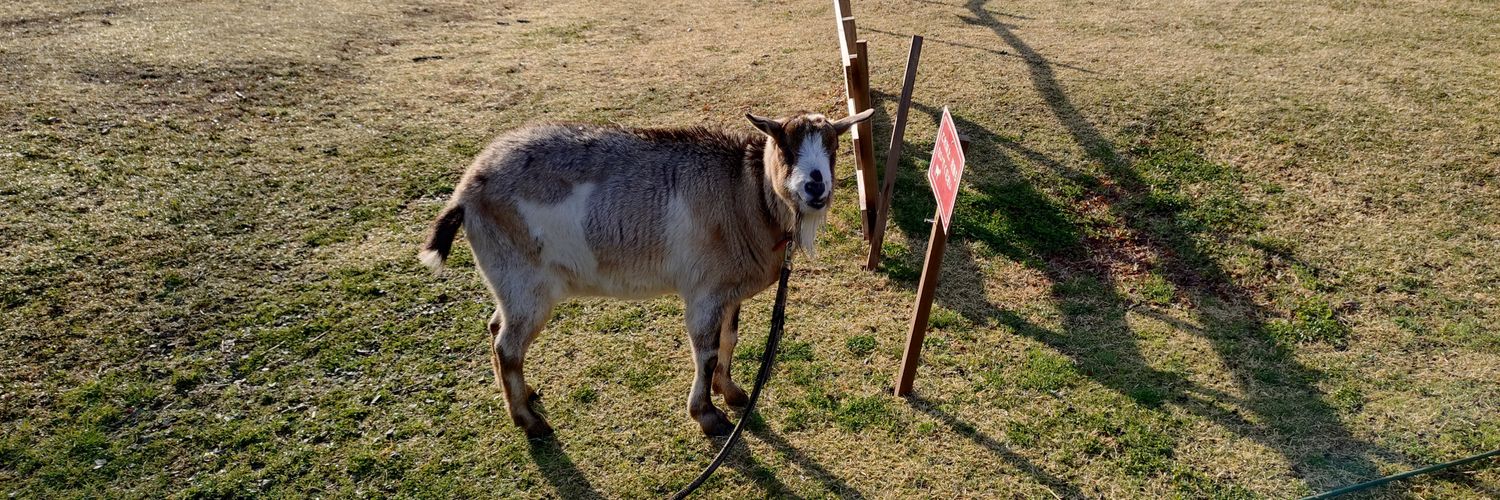 スクイーズ banner