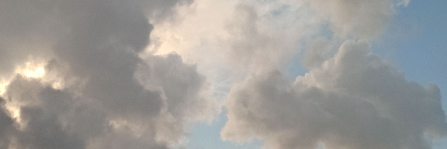__BitchBerry's profile banner image