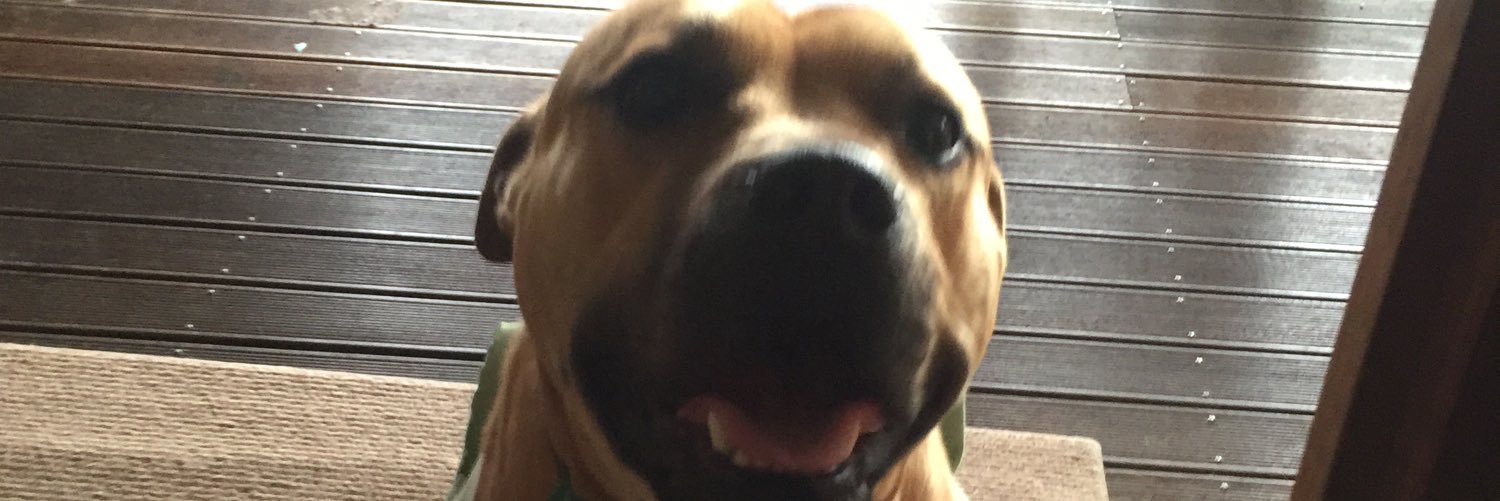drxce's profile banner image