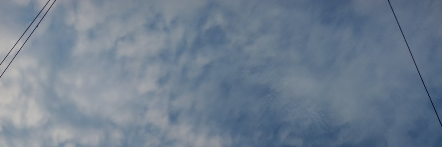 Joyce2048824's profile banner image