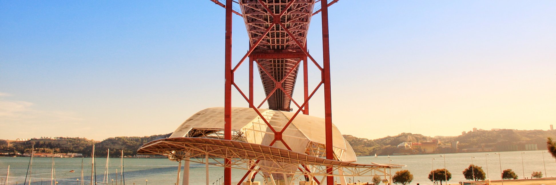 Ricardo banner