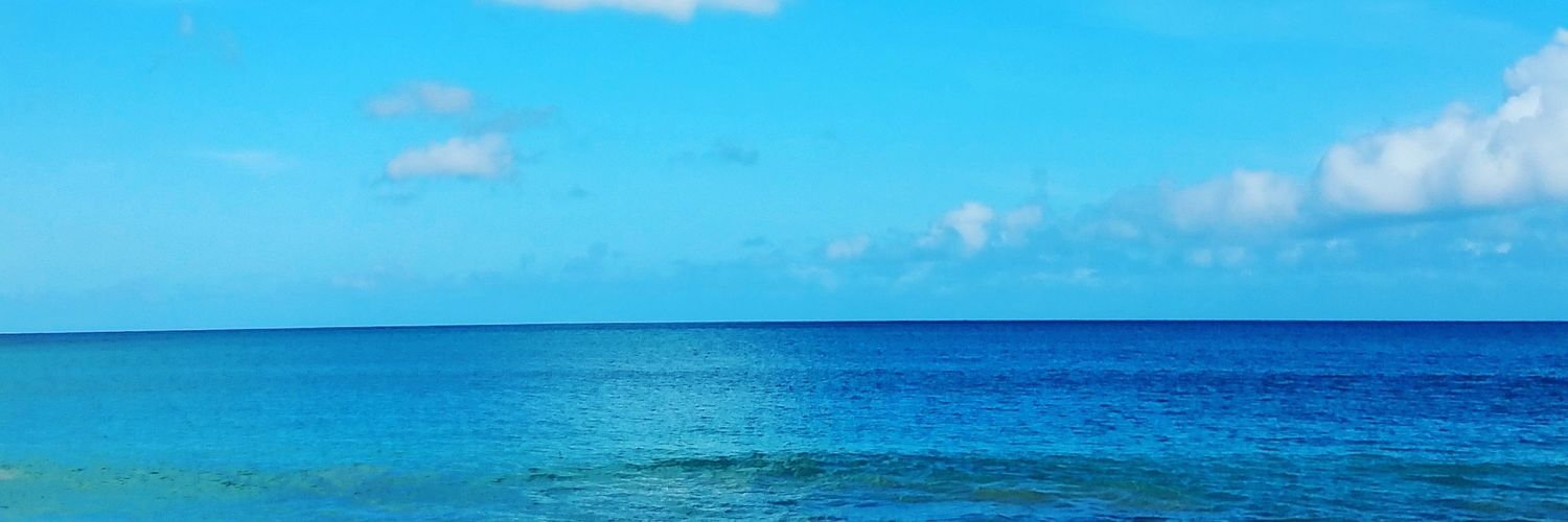 cedrickboucher's profile banner image