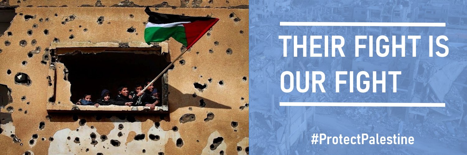 Protect Palestine's banner
