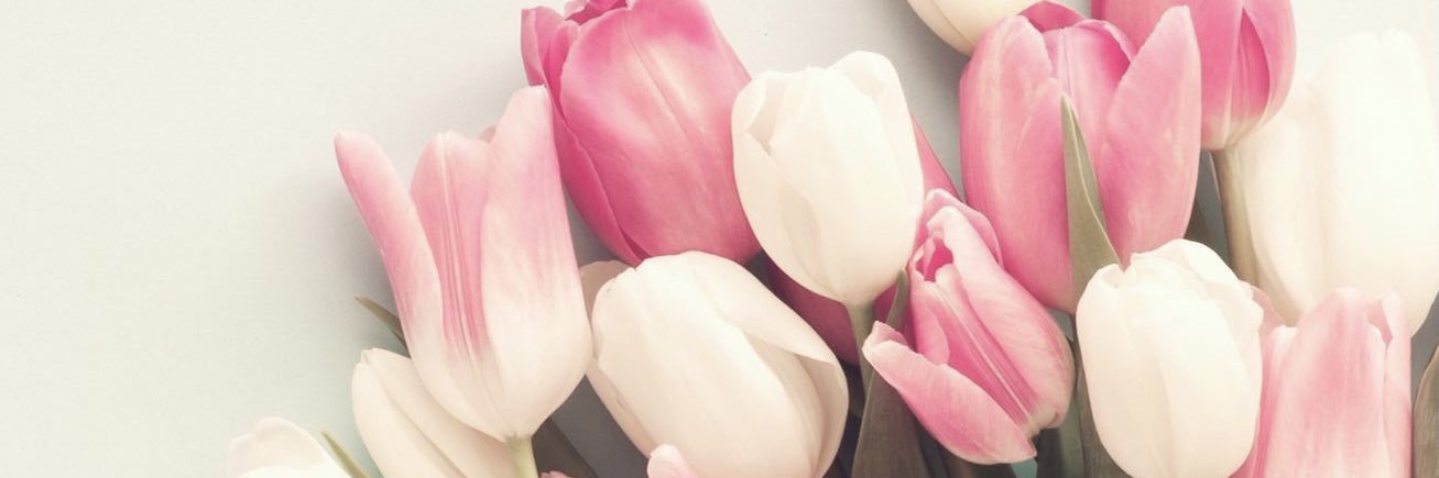 CelineMansion's profile banner image