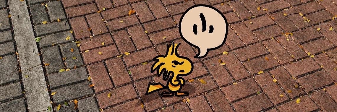natwsv's profile banner image