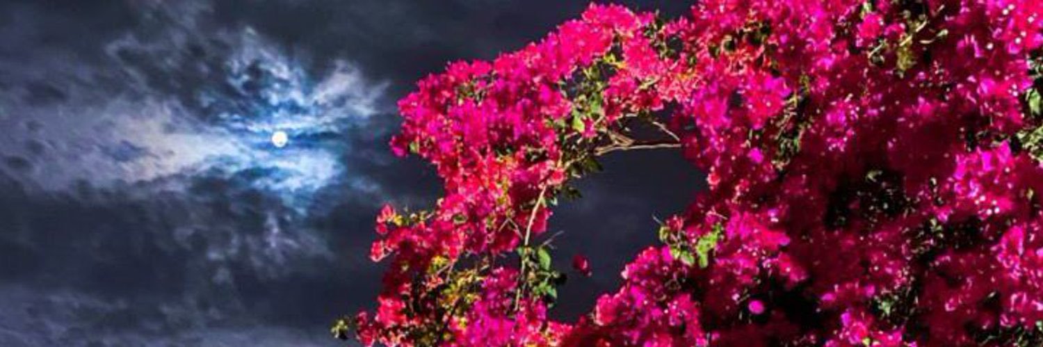 raindrops898's profile banner image