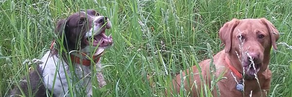 TheOneMajor2 Profile Banner