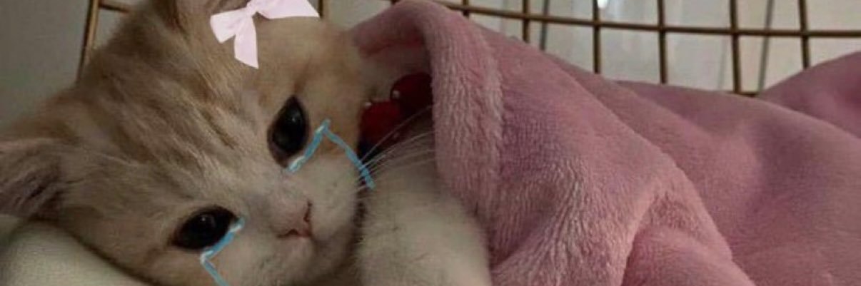 hello kitty gf banner