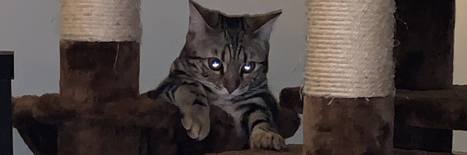deekon's profile banner image