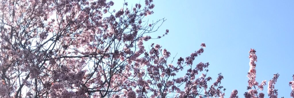 HannahCockerton's profile banner image