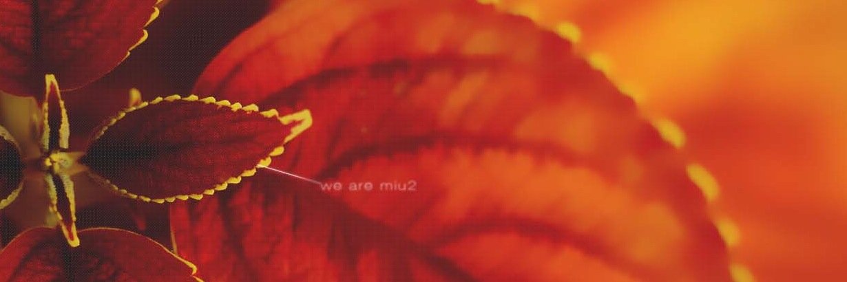 wearemiu2's profile banner image