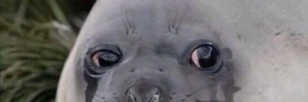 mikepmf Profile Banner