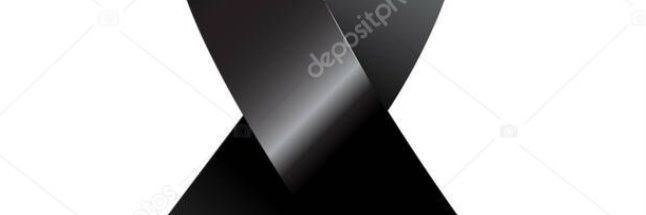 4MNSP's profile banner image