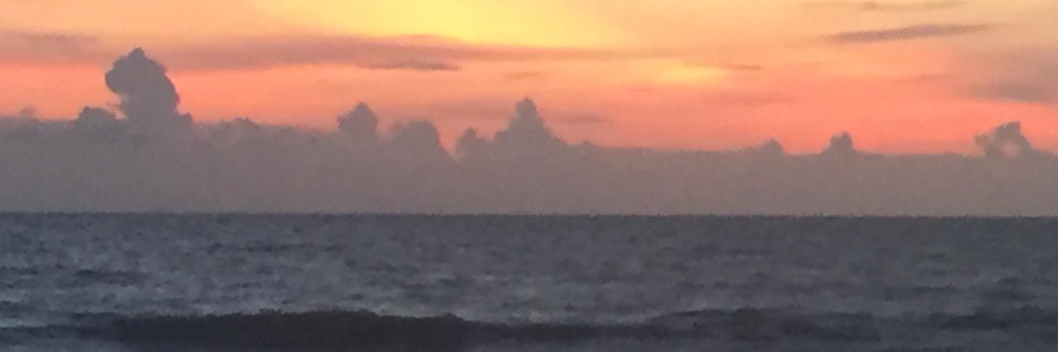 Betsy Marsh Strader banner