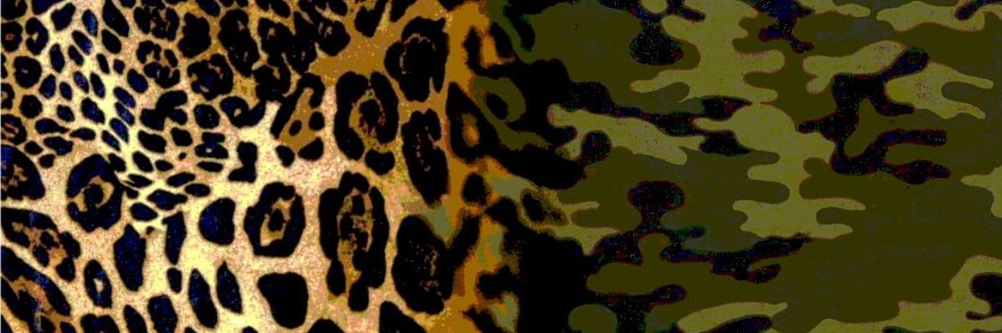 publpi's banner