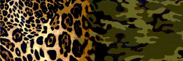 pub1pi Profile Banner