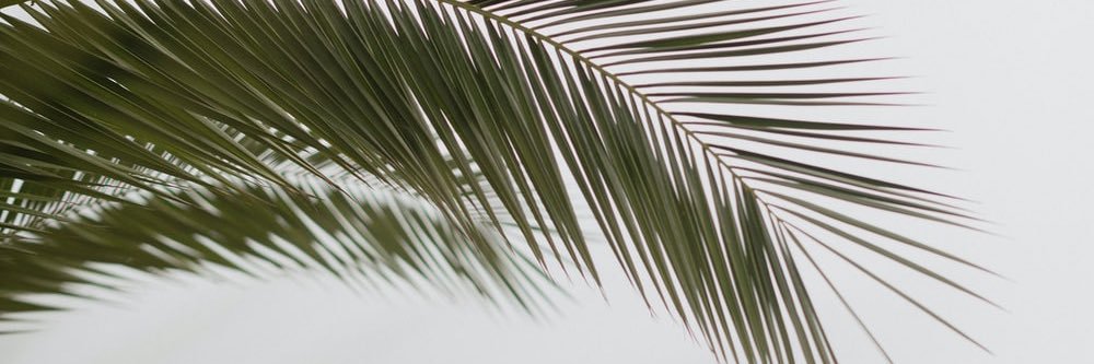 itsmytweets_'s profile banner image