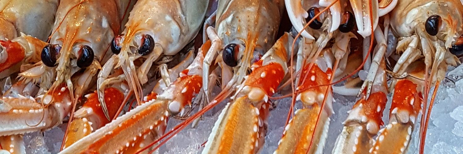 ChefSimonDyer's profile banner image