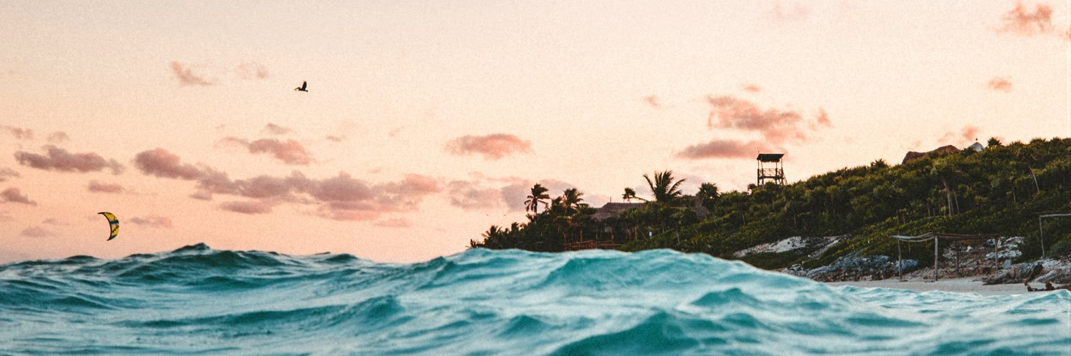 Ashley Fenstad banner