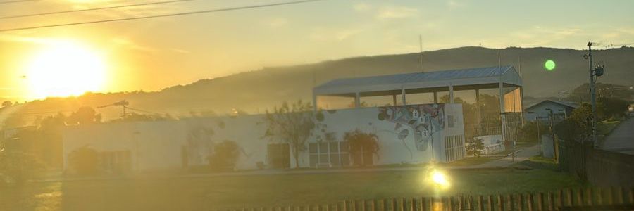 sorlima's profile banner image