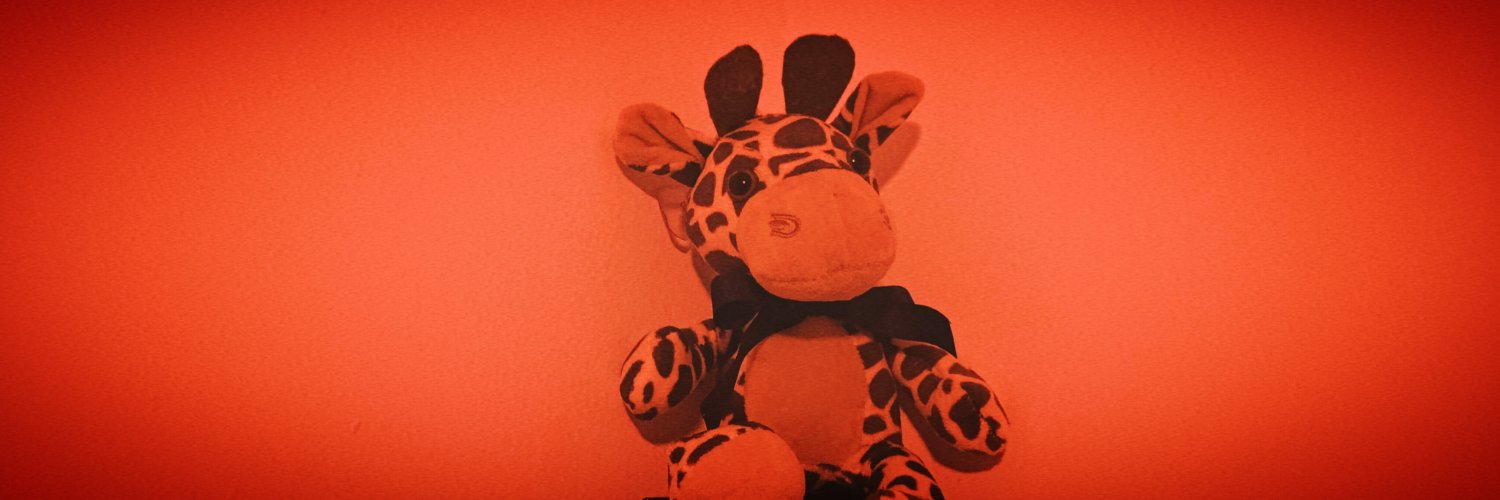 ativo romântico banner