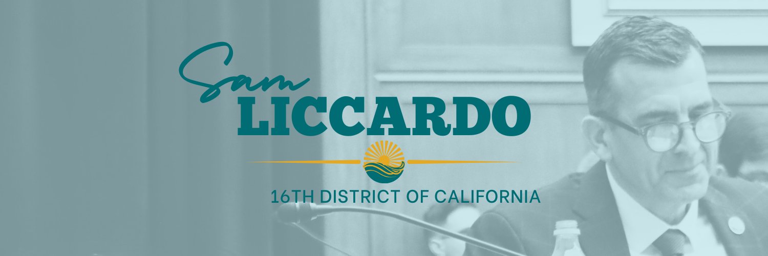 Rep. Sam Liccardo's banner
