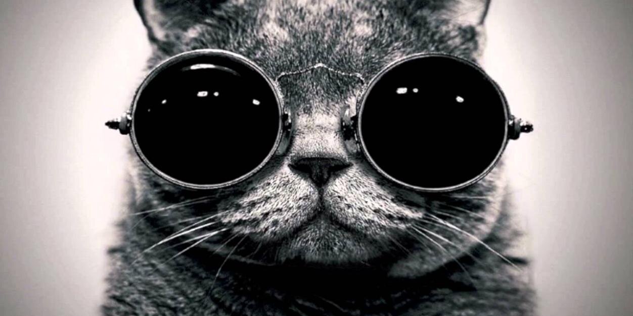 BryanTugler's profile banner image