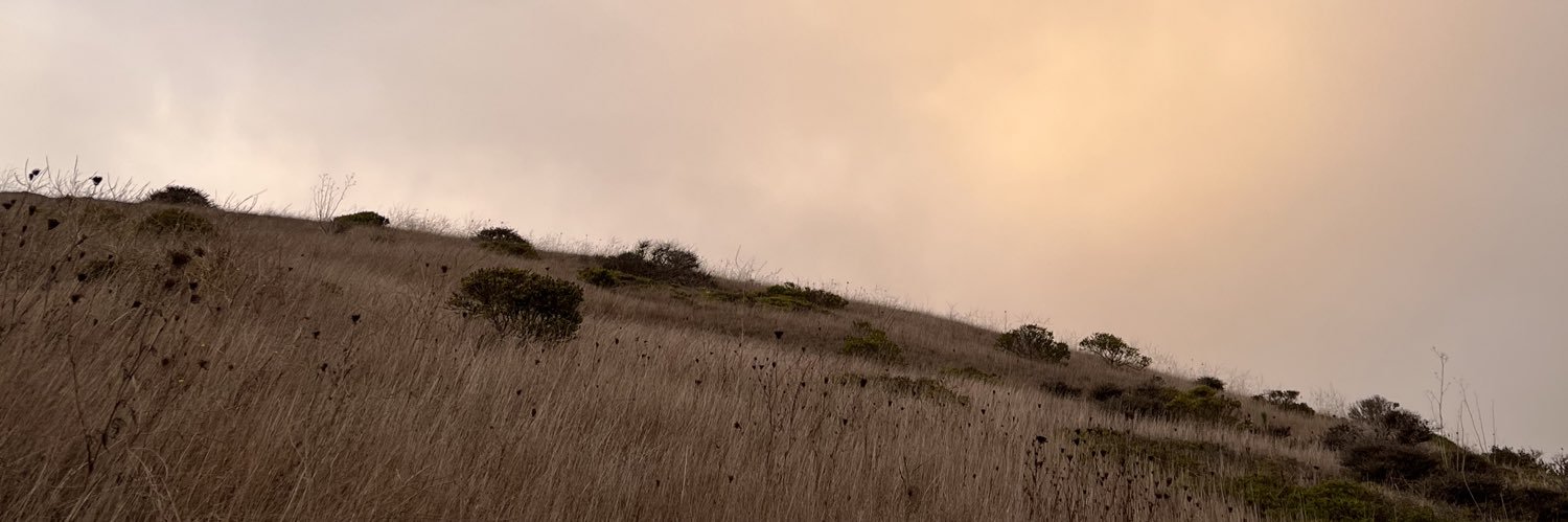 Halvard Lange banner