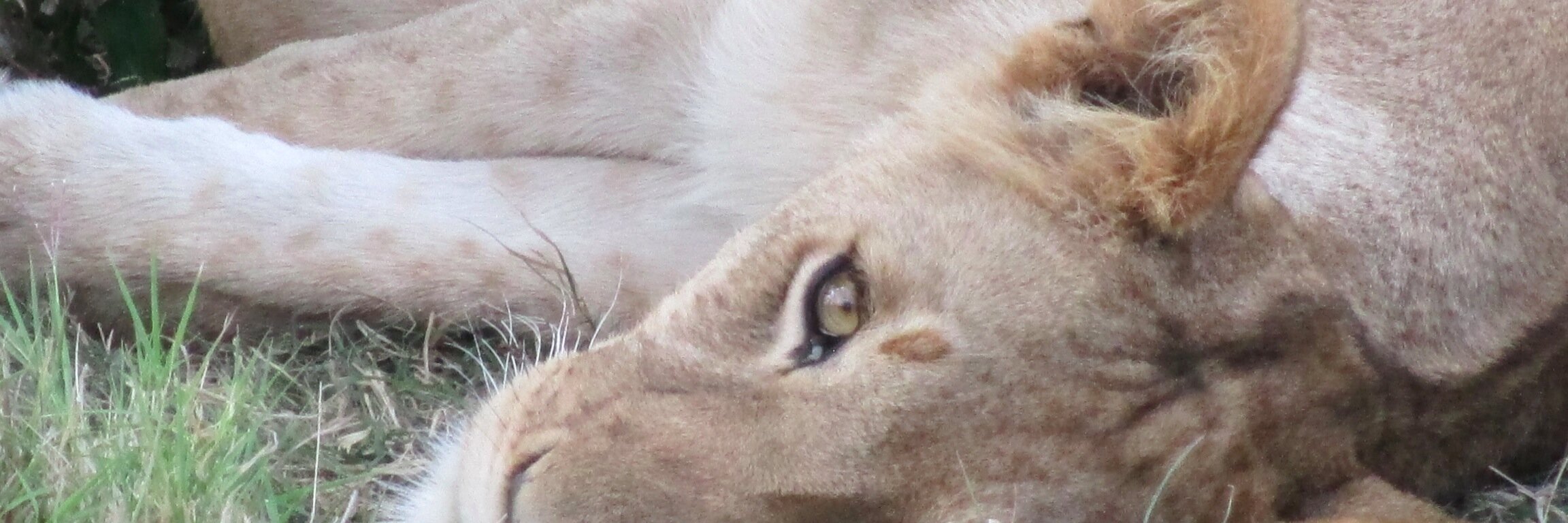 AlyMarks's profile banner image