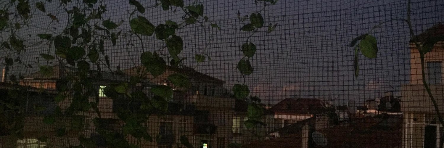 USzeynep's profile banner image