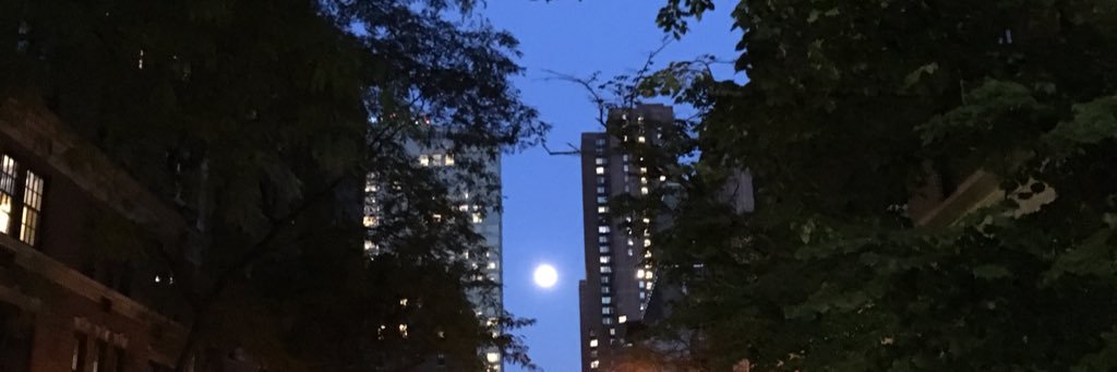 RebCruz's profile banner image