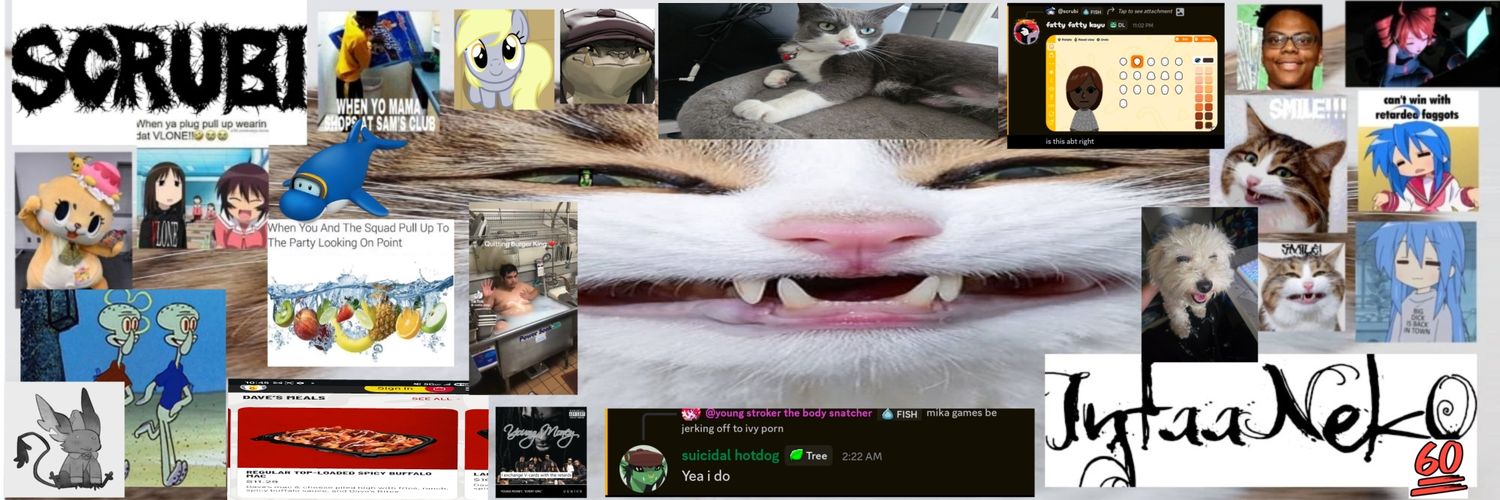 scrubistarrcat's profile banner image