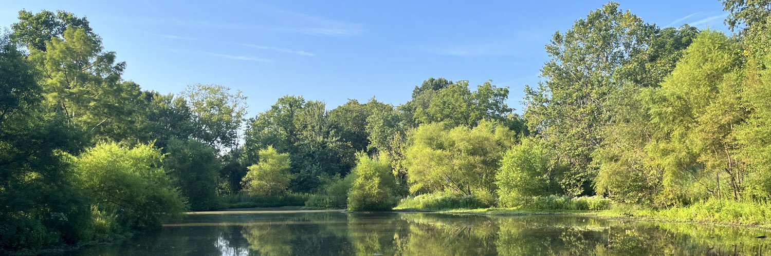 Nathan Lowe ⚖️⚾️ banner