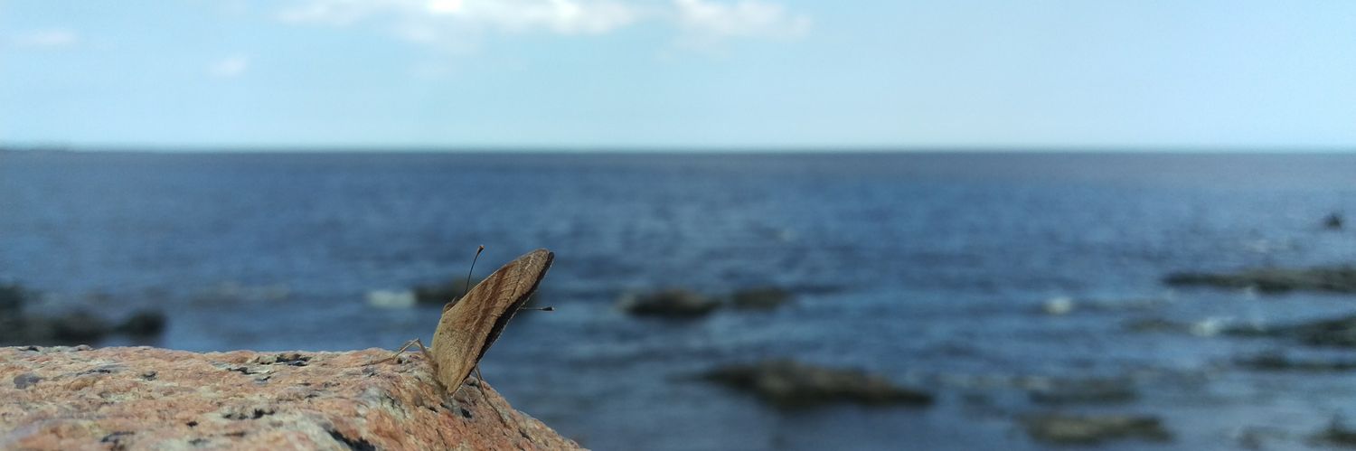 dalina15's profile banner image