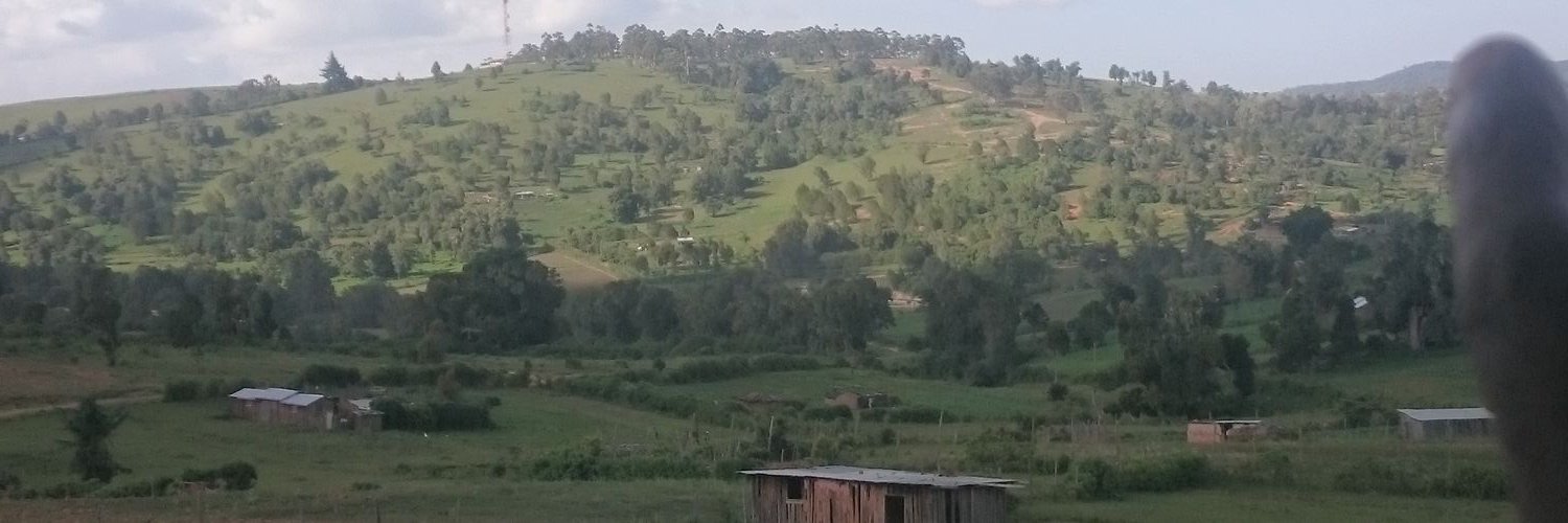 The_Consulate's profile banner image