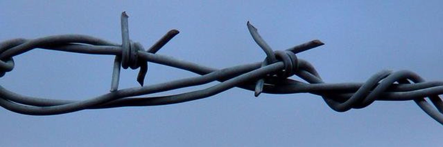 𝕄𝕒𝕣𝕚𝕠 𝕀𝕥𝕒𝕝𝕚𝕒𝕟𝕠 #𝟜 🇮🇹 banner