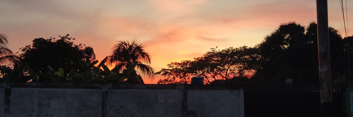 joserey1's profile banner image