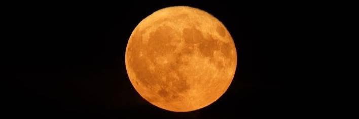 Truly Conservative banner