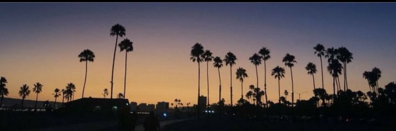 L banner